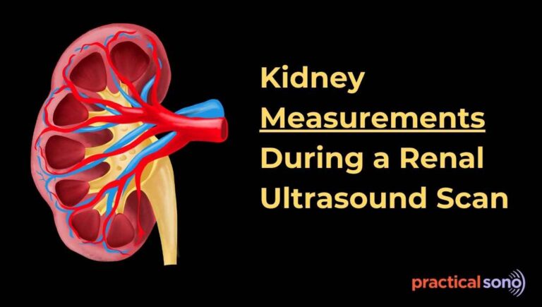 kidney measurement during renal scan featured image